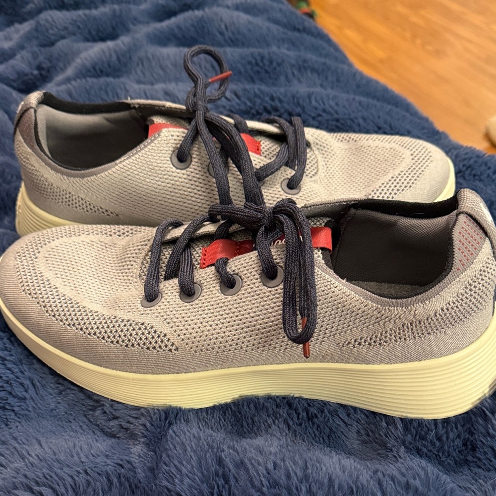 Allbirds Gray and Red Tree Runner Go